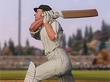 クリケットを扱う新作スポーツゲーム『Don Bradman Cricket 14』が発表 画像