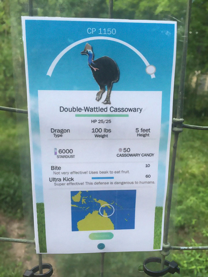 米動物園 実際の動物に ポケモンgo 風のユニークな説明看板を作成 Game Spark 国内 海外ゲーム情報サイト