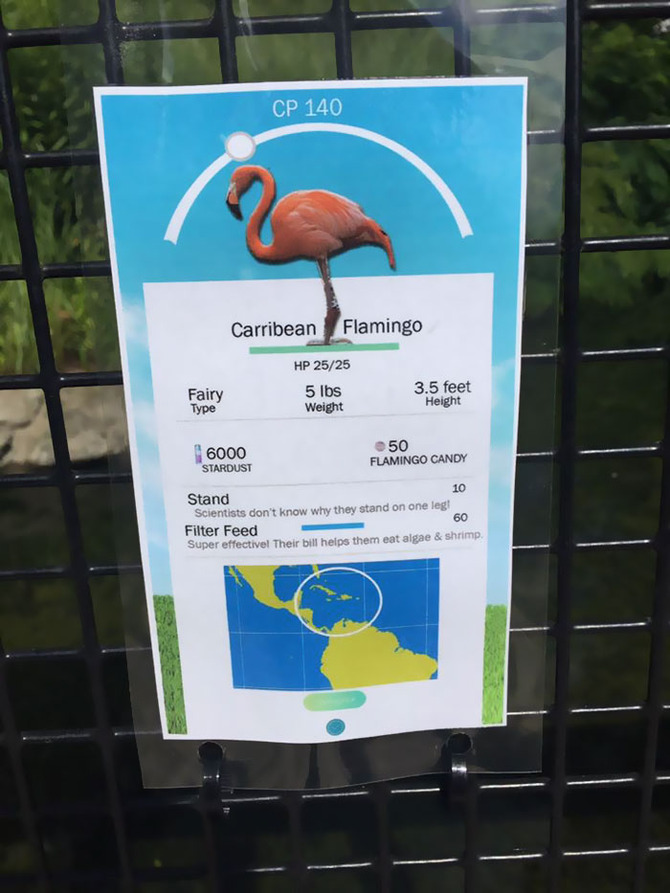 米動物園 実際の動物に ポケモンgo 風のユニークな説明看板を作成 Game Spark 国内 海外ゲーム情報サイト