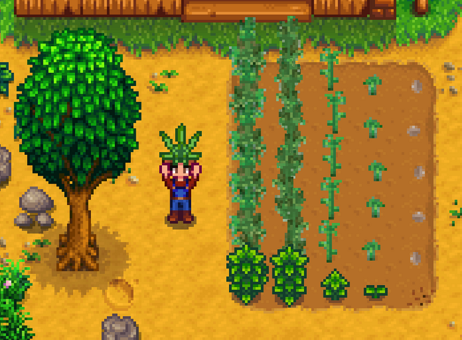 普通の作物にはもう飽きた Stardew Valley に大麻を栽培できるmodが登場 売人にだってなれる Game Spark 国内 海外ゲーム情報サイト