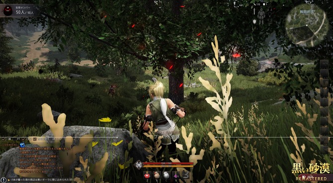 黒い砂漠 バトルロイヤルモード 影の戦場 メディア向け体験会プレイレポ 読者プレゼントも Game Spark 国内 海外ゲーム情報サイト 黒い砂漠 バトルロイヤルモード 影の戦場 メディア向け体験会プレイレポ 読者プレゼントも Game Spark 国内 海外ゲーム情報サイト