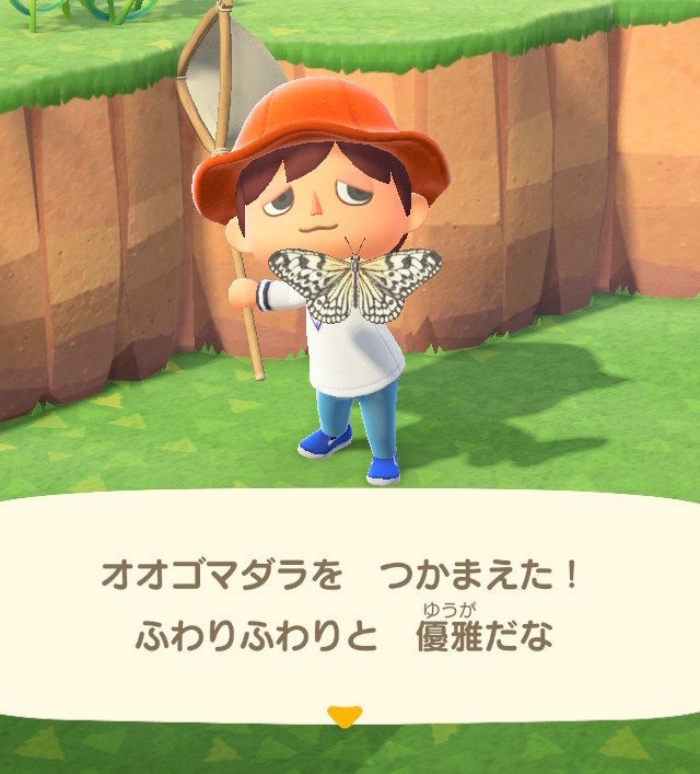 別名 バカ蝶 あつまれ どうぶつの森 に登場する オオゴマダラ ってこんな蝶 平坂寛の あつ森 博物誌 Game Spark 国内 海外ゲーム情報サイト