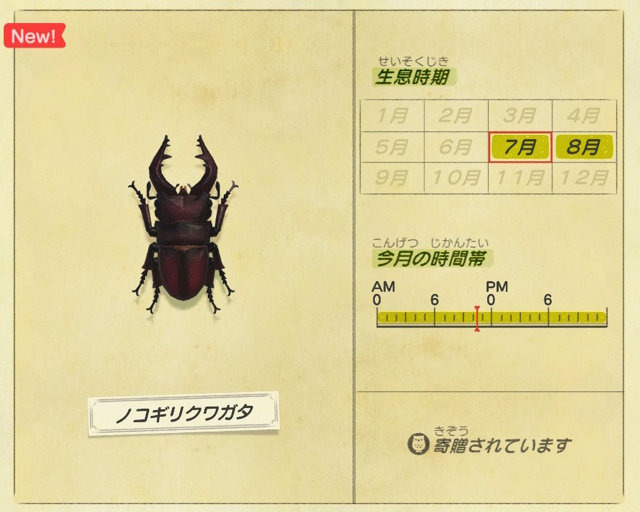 夏本番 あつまれ どうぶつの森 に出てくる ノコギリクワガタ ってどんな虫 平坂寛の あつ森 博物誌 Game Spark 国内 海外ゲーム情報サイト