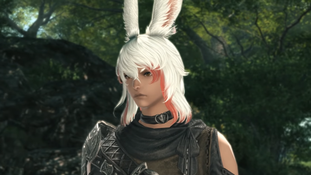 Ff14 ヴィエラ 作れない Ff14 ヴィエラ 作れない