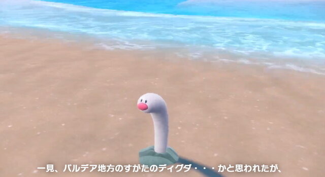 2022年限定カラー 新品 ポケモン ウミディグダ ペア - 通販