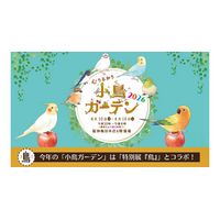 【阪神梅田本店】約100名の鳥作家が集結！「小鳥ガーデン」が今年さらにパワーアップして開催いたします
