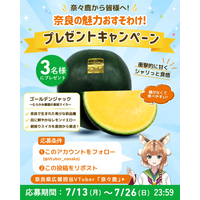 奈良県公式VTuber「奈々鹿」によるSNSキャンペーンを実施します！《第7弾商品：奈良県発の新品種スイカ「ゴールデンジャック」》