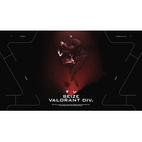 Professional Esports Organization「SEIZE」、VALORANT部門設立および新メンバー加入のお知らせ